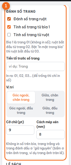 Mục "Đánh số trang": tính từ bìa 1 hoặc từ ruột, tiền tố, vị trí